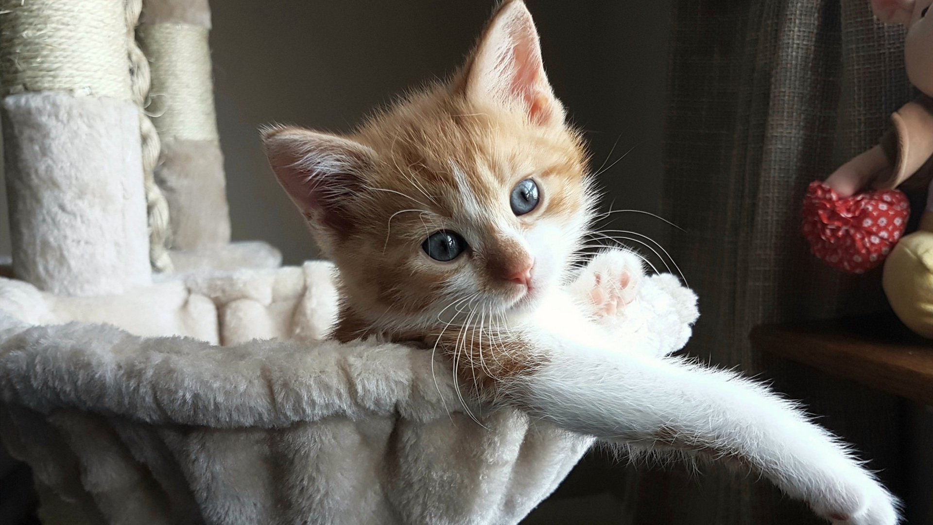 中国青少年篮球联赛网络直播热潮不断，吸引大量观众，中国青少年篮球协会